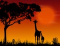 Family of Giraffes on the background of the Sunset. Mom and baby Giraffes.Vector. Royalty Free Stock Photo